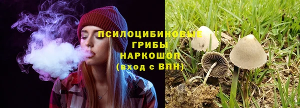 mdpv Верея