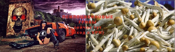 ECSTASY Верхний Тагил