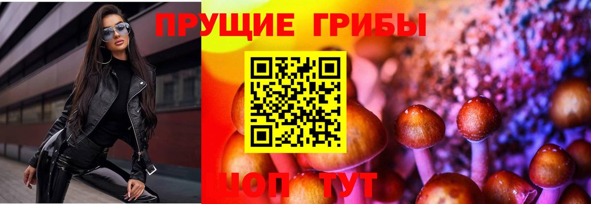Псилоцибиновые грибы Cubensis Карталы